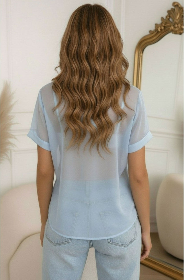 Rochel Sheer Tie-Neck Floral Scarf Blouse Top-Blue