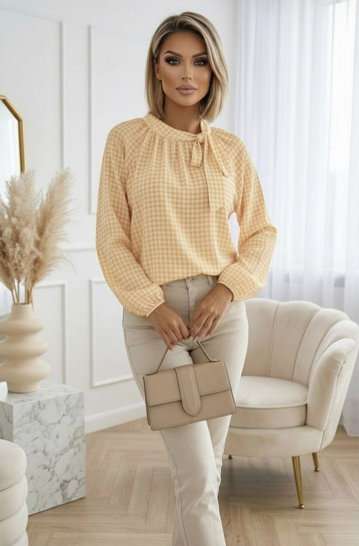 Sia Sheer Gingham Tie-Neck Blouse Top